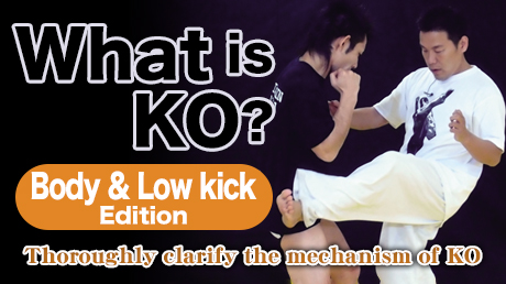 What is KO? Body & Low kick Edition